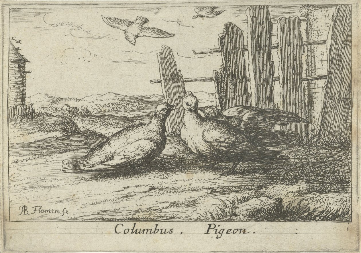 Dos palomas en una valla Colón. paloma. (título en el objeto) Trece especies de aves (título de la serie) Diuersae Auium Specie (título de la serie) de Albert Flamen
