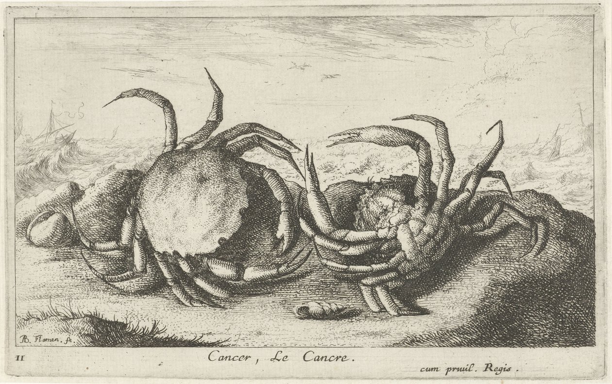 Dos cangrejos en la playa Cáncer, Le Cancre (título sobre objeto) Peces y otras criaturas marinas: primera serie de agua salada (título de la serie) Diverse Especes de Poissons de mer (título de serie) de Albert Flamen