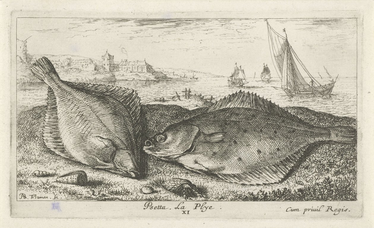 Dos lenguados en la playa peseta La Plyé. (título en el objeto) Peces y otras criaturas marinas: segunda serie de agua salada (título de la serie) Poissons de mer (título de la serie) de Albert Flamen