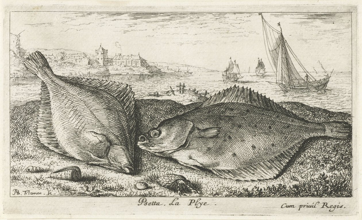 Dos lenguados en la playa peseta La Plyé. (título en el objeto) Peces y otras criaturas marinas: segunda serie de agua salada (título de la serie) Poissons de mer (título de la serie) de Albert Flamen