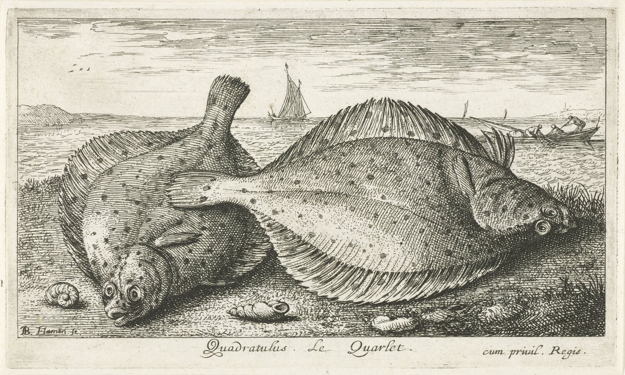 Dos sollas en la playa Quadratulus. Le Quarlet. (título en el objeto) Peces y otras criaturas marinas: tercera serie de agua salada (título de la serie) Poissons de mer (título de la serie) de Albert Flamen