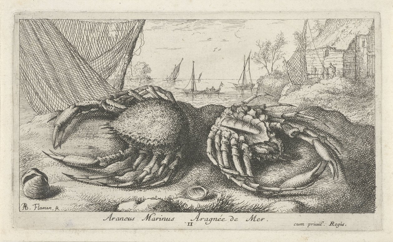Dos centollos cerca de una red de pesca Araneus Marinus Aragnée de Mer (título sobre el objeto) Peces y otras criaturas marinas: segunda serie de agua salada (título de la serie) Poissons de mer (título de la serie) de Albert Flamen