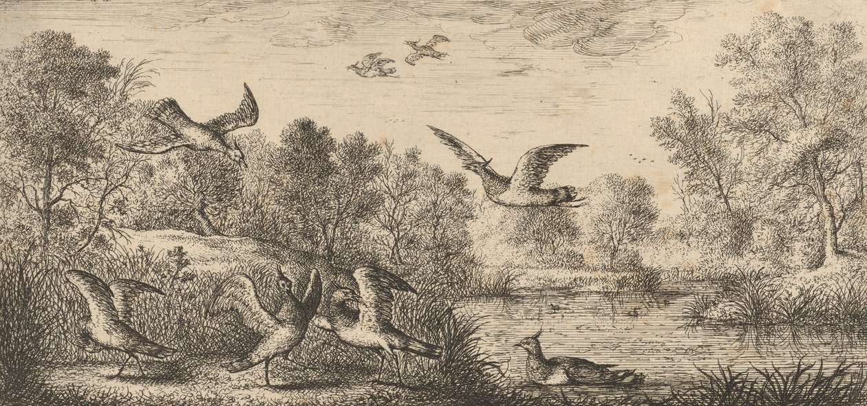 El Avefría: Libro de Aves, 1655-1660 de Albert Flamen