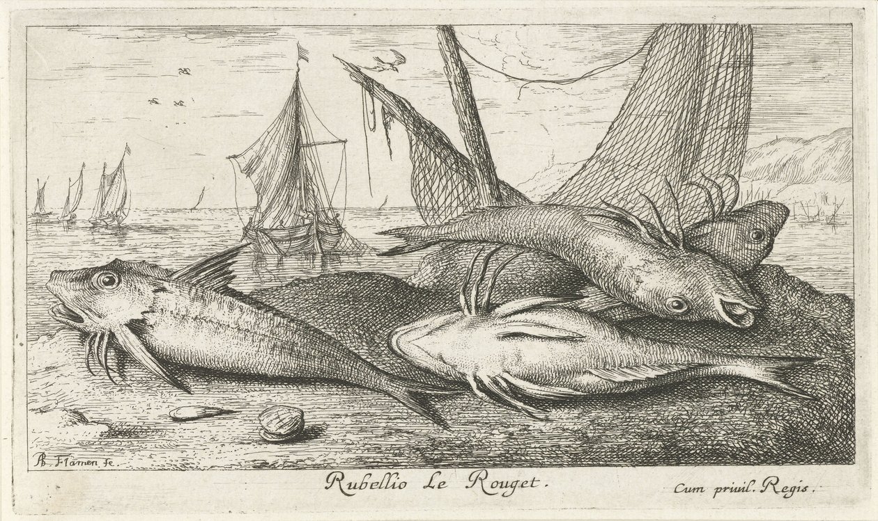 Cuatro salmonetes en la playa Rubellio Le Rouget. (título en el objeto) Peces y otras criaturas marinas: segunda serie de agua salada (título de la serie) Poissons de mer (título de la serie) de Albert Flamen