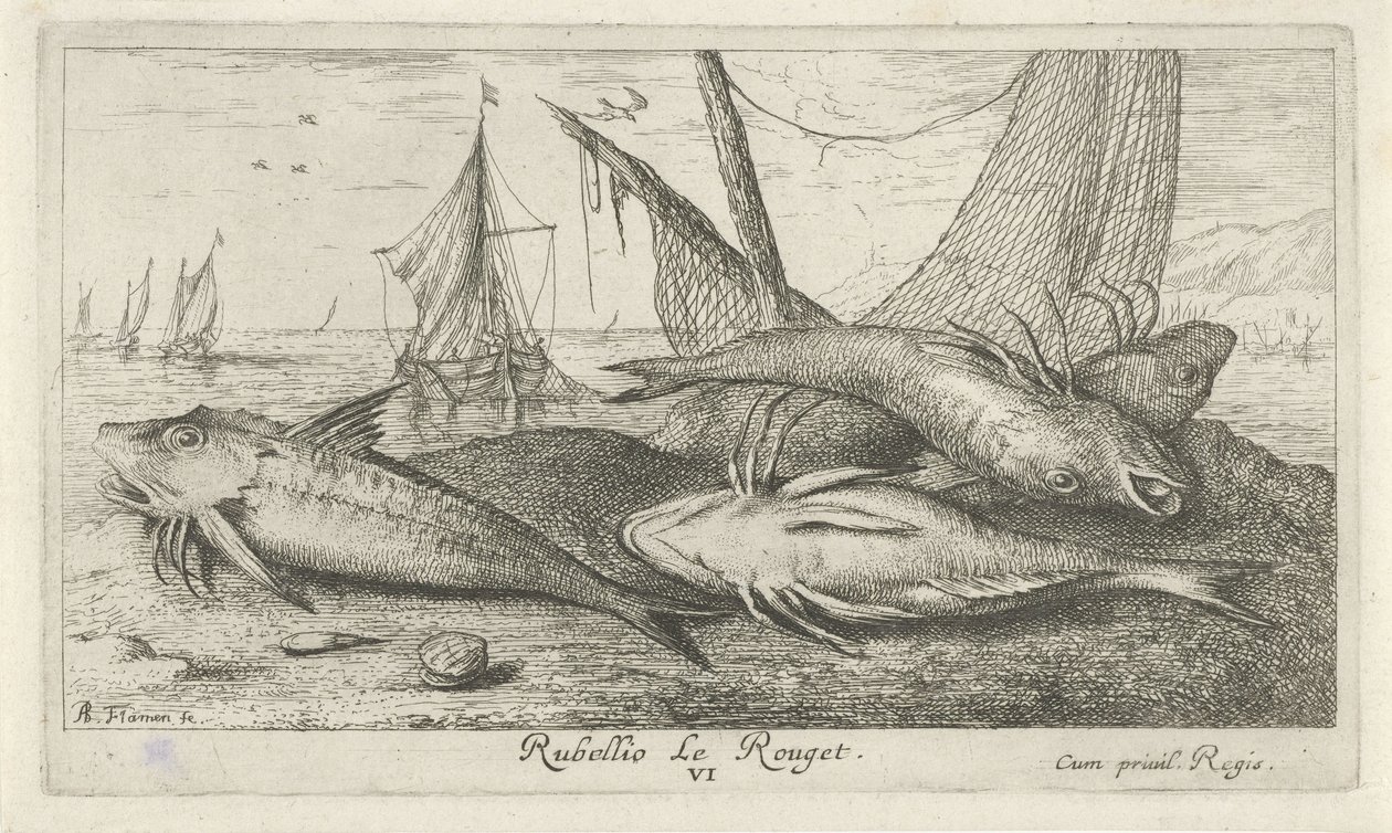Cuatro salmonetes en la playa Rubellio Le Rouget. (título en el objeto) Peces y otras criaturas marinas: segunda serie de agua salada (título de la serie) Poissons de mer (título de la serie) de Albert Flamen