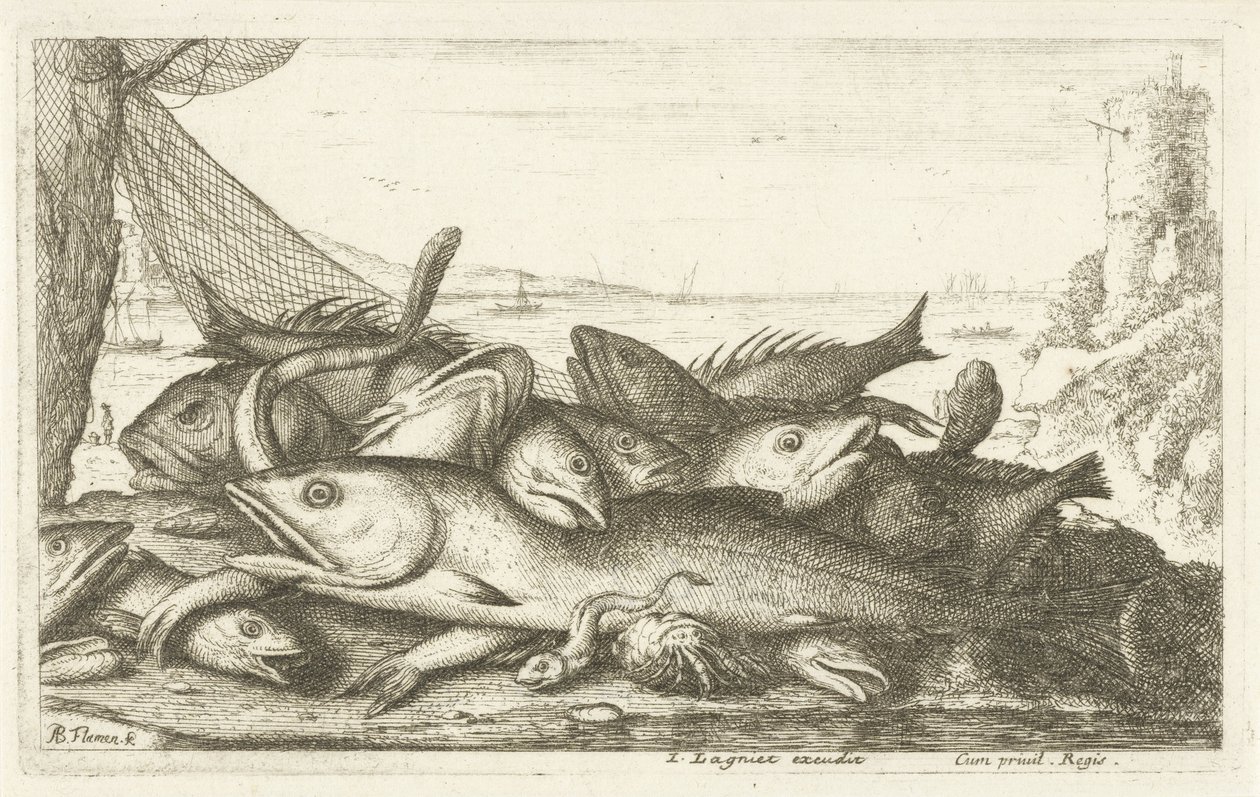 Pesca del cangrejo ermitaño Diferentes especies de peces (título de la serie) Diverse Especes De Poissons tant de Mer, que d