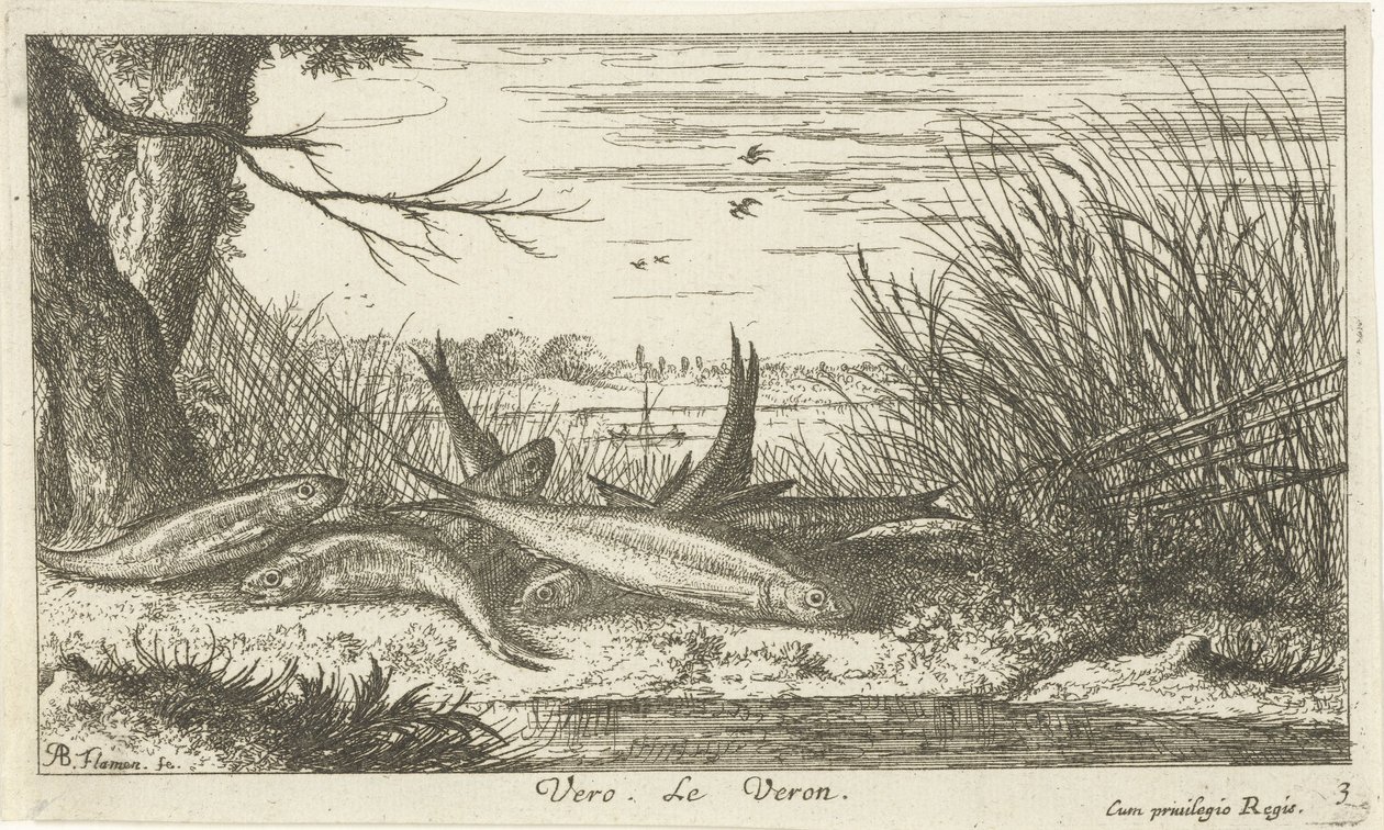 Cucarachas en la orilla del río Vero. Le Verón. (título en el objeto) Peces y otras criaturas marinas: segunda serie de agua dulce (título de la serie) Seconde partie de Poissons d