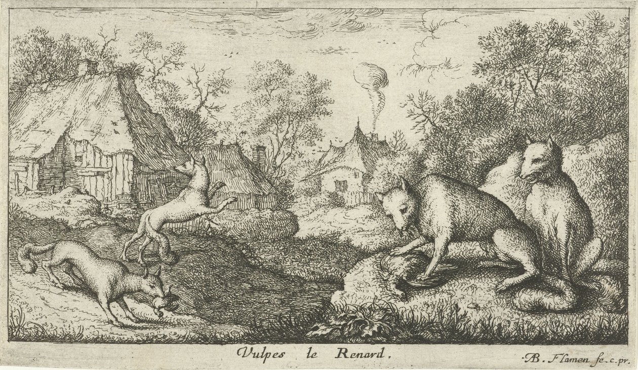 zorros Vulpes le Renard (título sobre objeto) Diferentes especies animales (título de la serie) de Albert Flamen