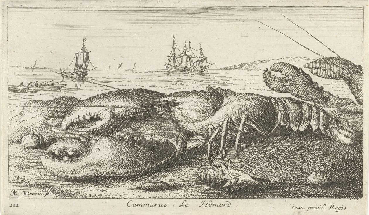Langosta en la playa
Cammarus. Le Homard (título en el objeto)
Peces y otros animales marinos - agua salada primera serie (título de la serie)
Diverses Especes de Poissons de mer (título de la serie) de Albert Flamen