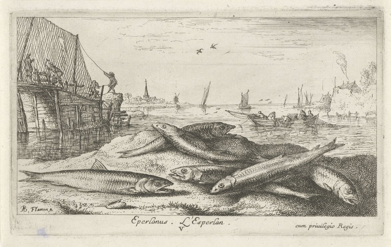 Seis olores en la playa Eperlano. L´Esperlan. (título en el objeto) Peces y otras criaturas marinas: segunda serie de agua salada (título de la serie) Poissons de mer (título de la serie) de Albert Flamen