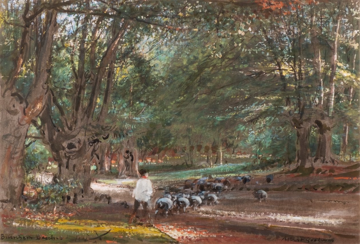 Burnham Beeches (acuarela y acuarela corporal) de Albert Goodwin