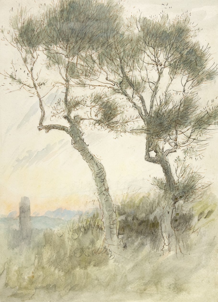Estudio de Dos Árboles de Albert Goodwin