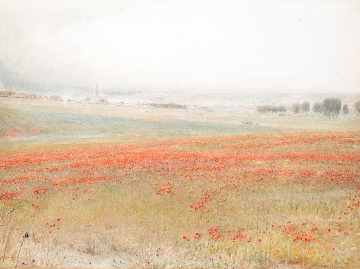 La Cizaña. Amapolas en el Maíz. Salisbury de Albert Goodwin