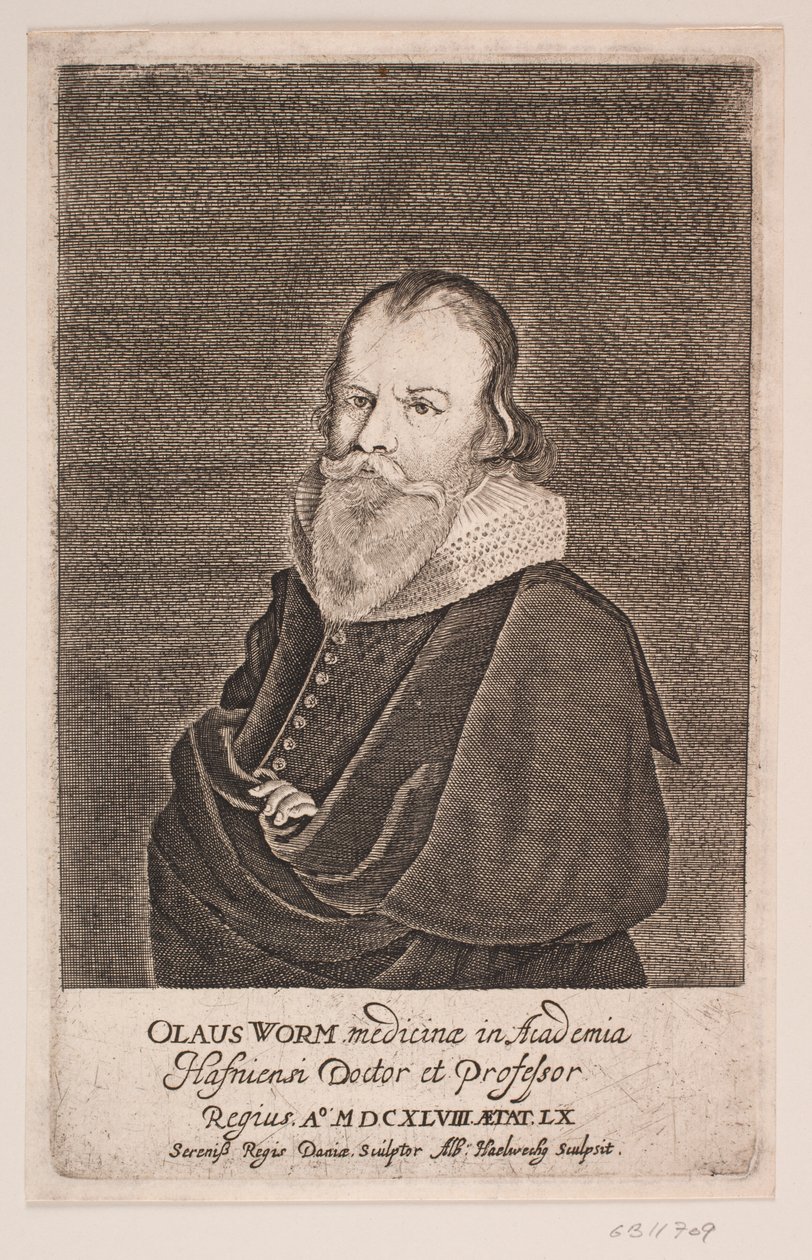 Ole Worm de Albert Haelwegh