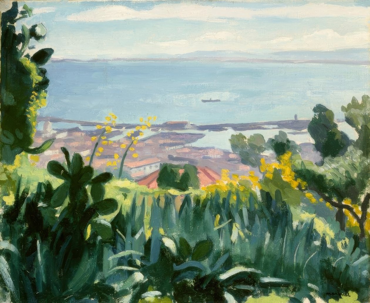 Argel - Vista desde las alturas de Mustapha de Albert Marquet