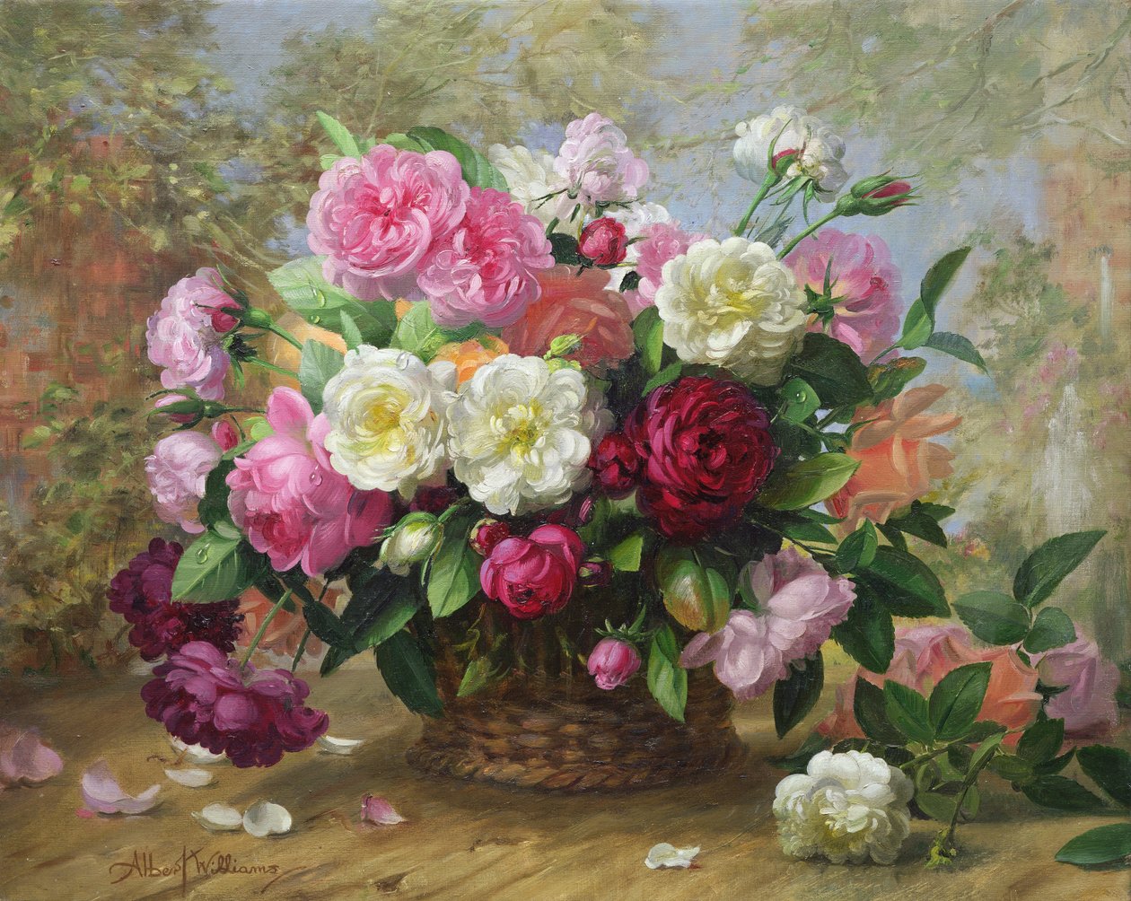 La belleza del cielo en una rosa de verano de Albert Williams
