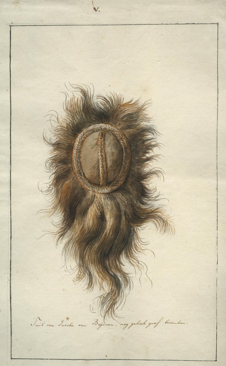 El tocado de Jacoba van Beijeren de Albertus Frese de Jonge