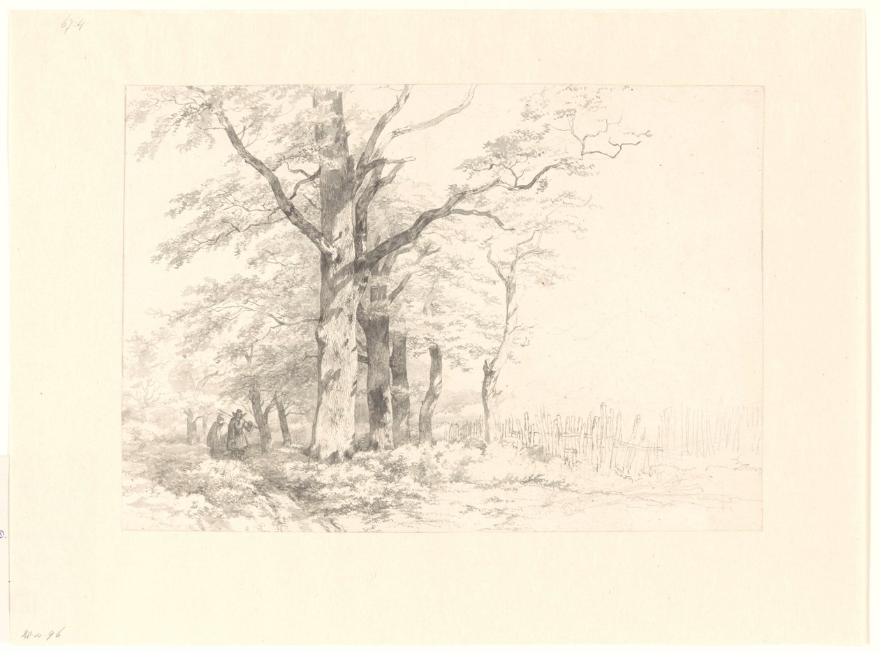 Estudio de los robles en un paisaje de Albertus Brondgeest