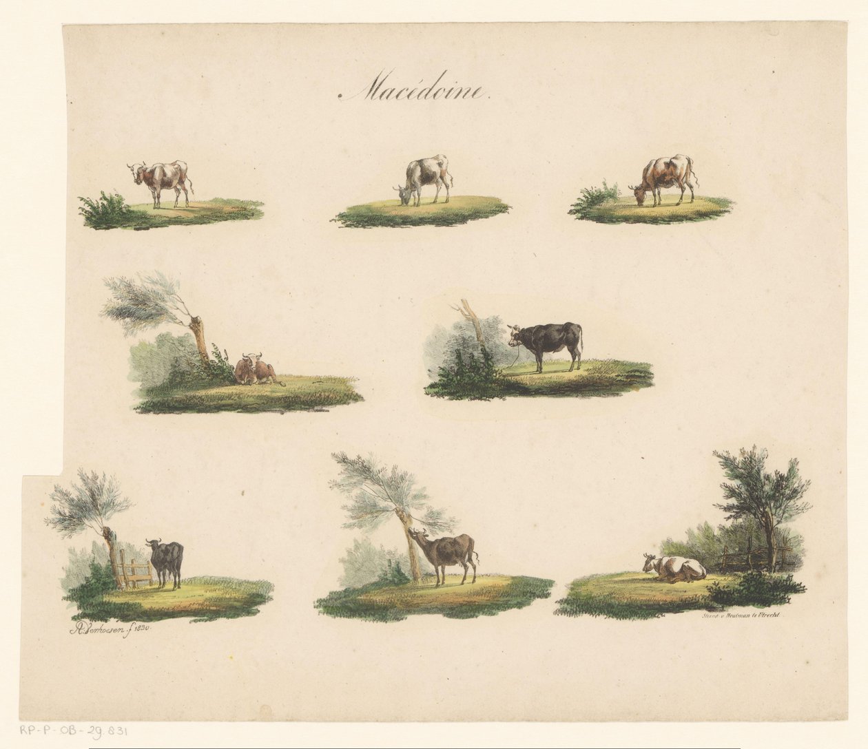 vacas en el paisaje Macedonia (título sobre el objeto) de Albertus Verhoesen