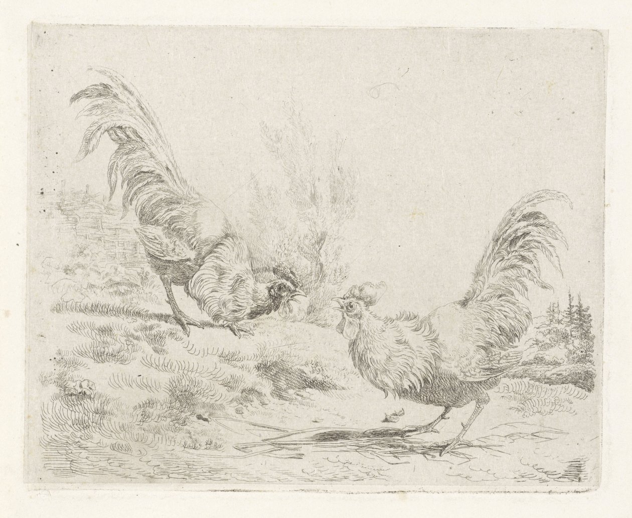 Dos gallos de pelea de Albertus Verhoesen