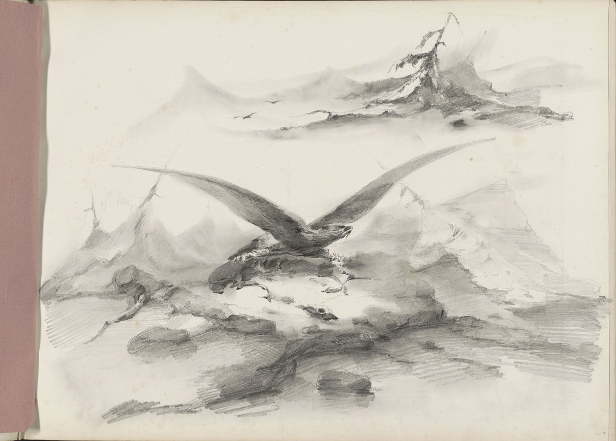 Águila volando sobre una costa con montañas de Albertus van Beest
