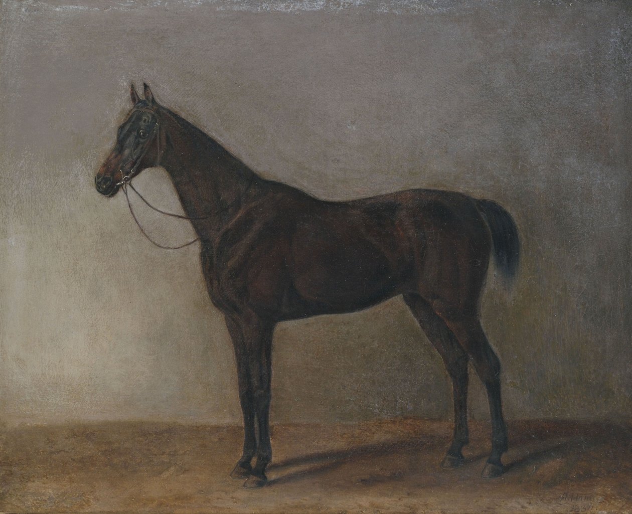 Caballo alazán de Albrecht Adam