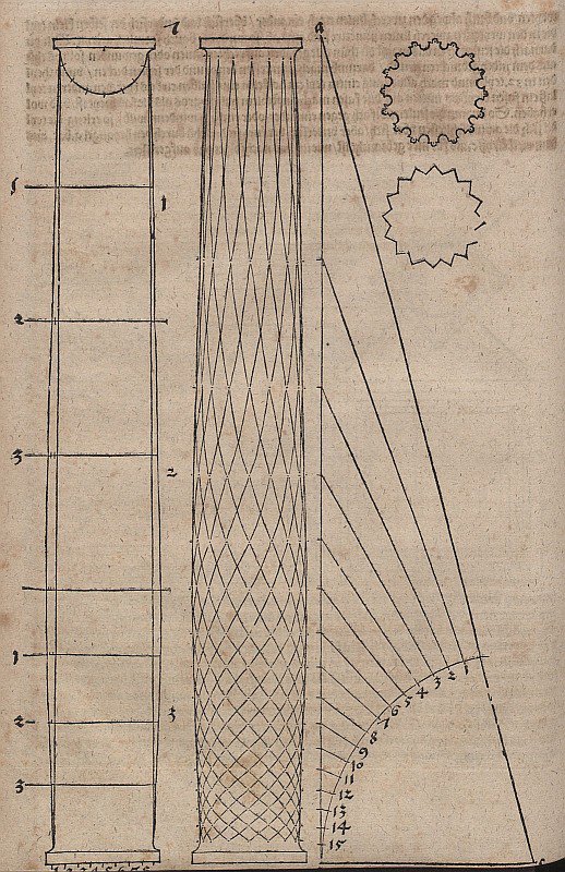 Forma de columna abultada y secciones transversales de columnas de Albrecht Dürer