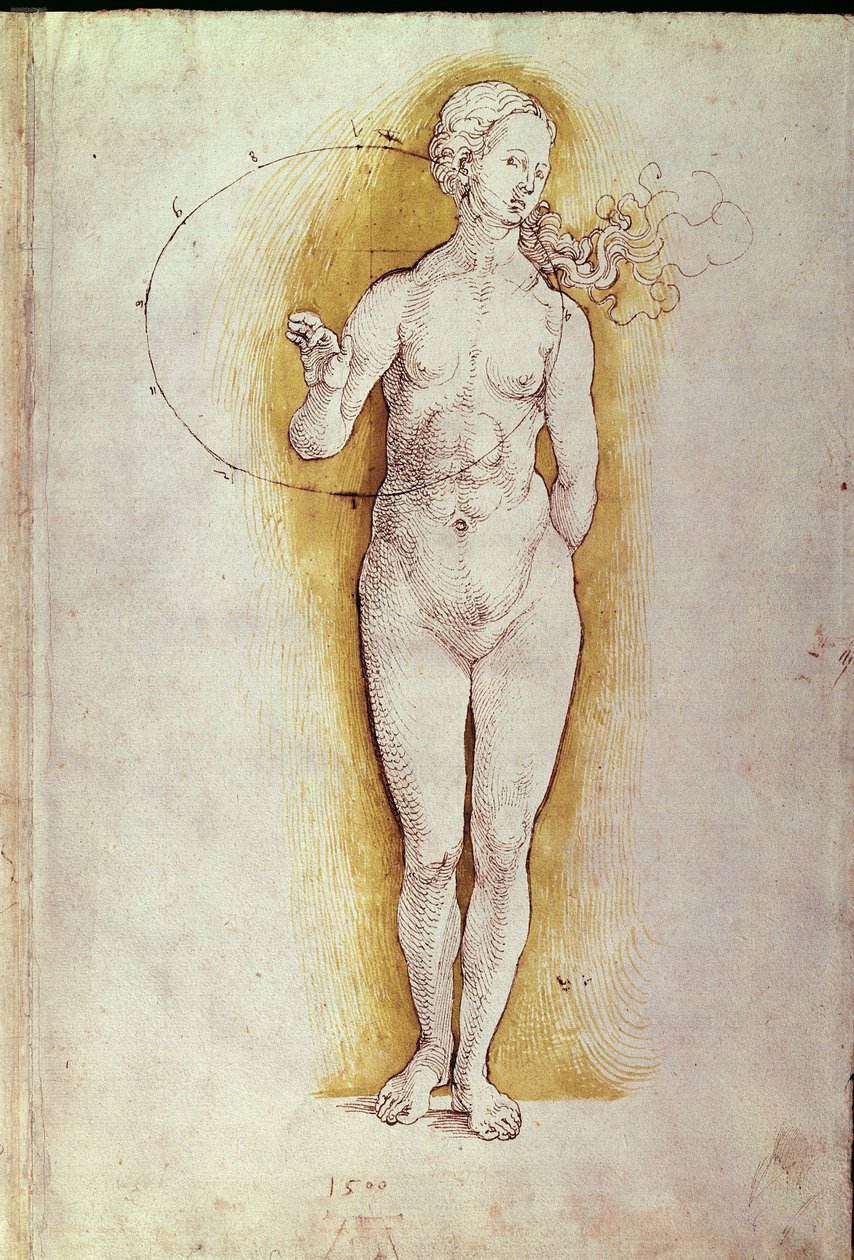 Desnudo femenino de Albrecht Dürer