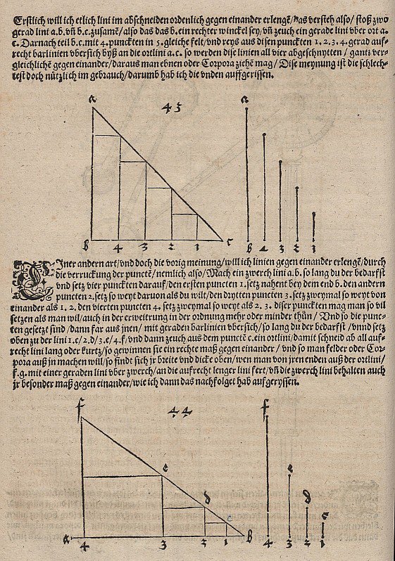 Imagen gráfica de una función lineal y una función exponencial de Albrecht Dürer