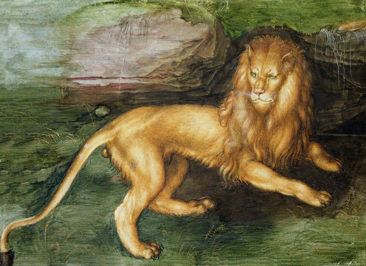 León de Albrecht Dürer