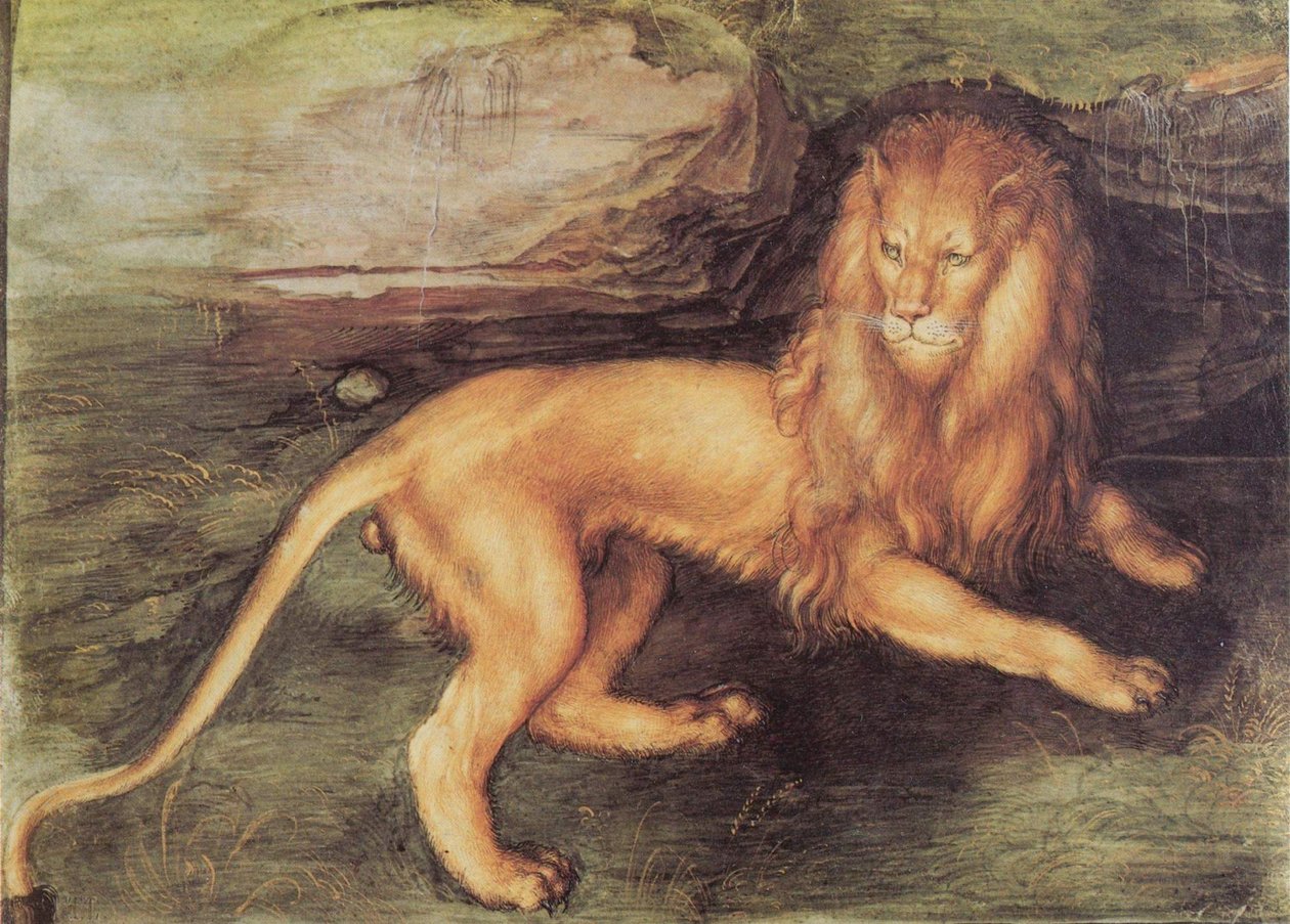 León de Albrecht Dürer