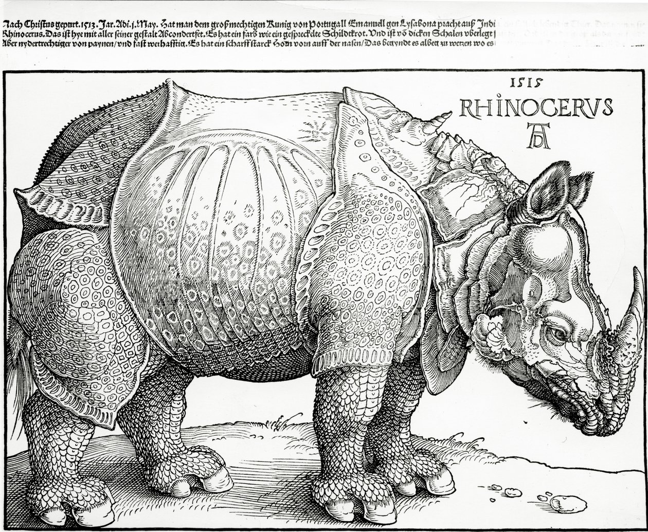 El Rinoceronte, 1515 de Albrecht Dürer