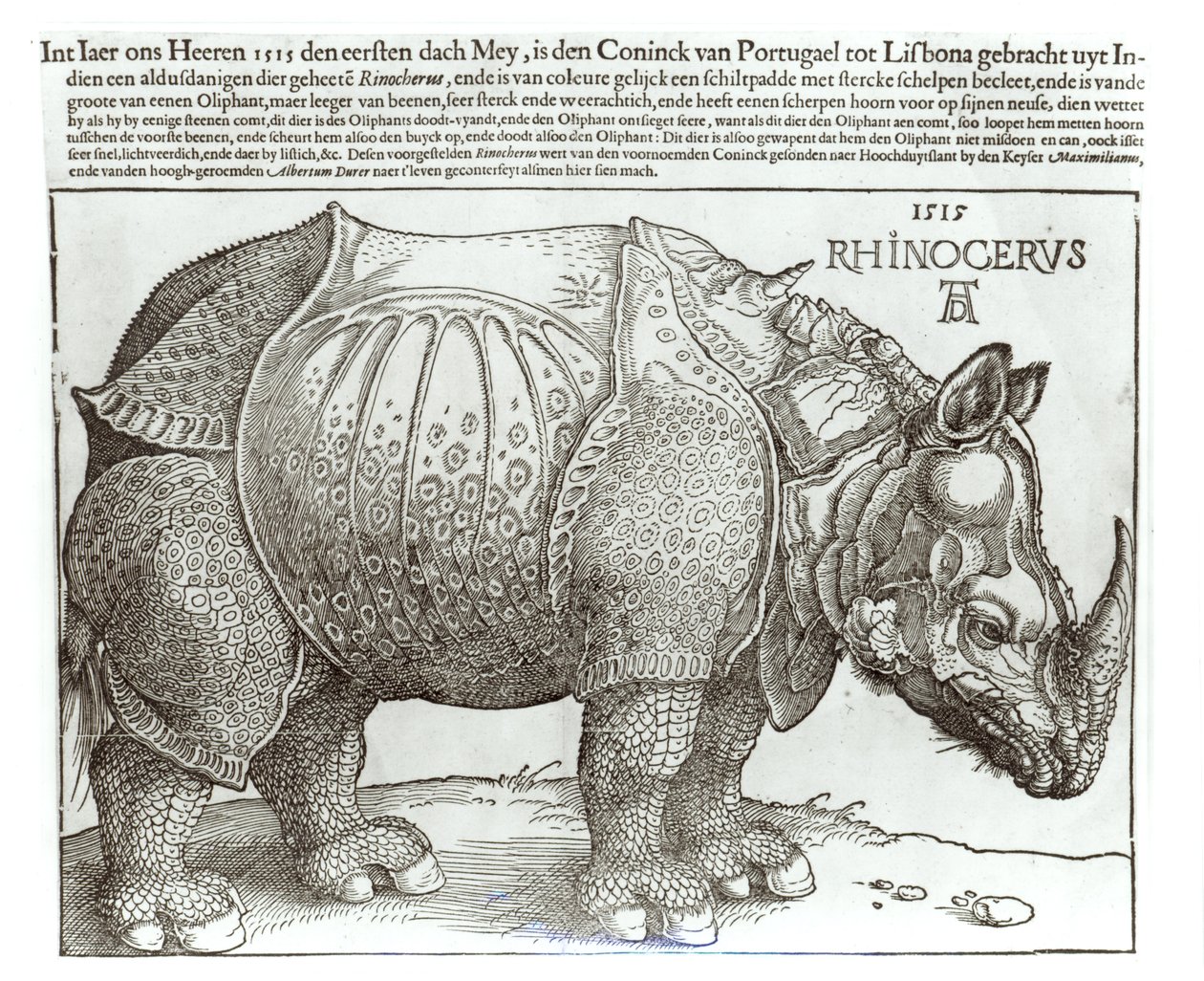 Rinoceronte, impresión dada a Maximiliano I (1459-1519) por el Rey de Lisboa (1495-1521), 1515 de Albrecht Dürer