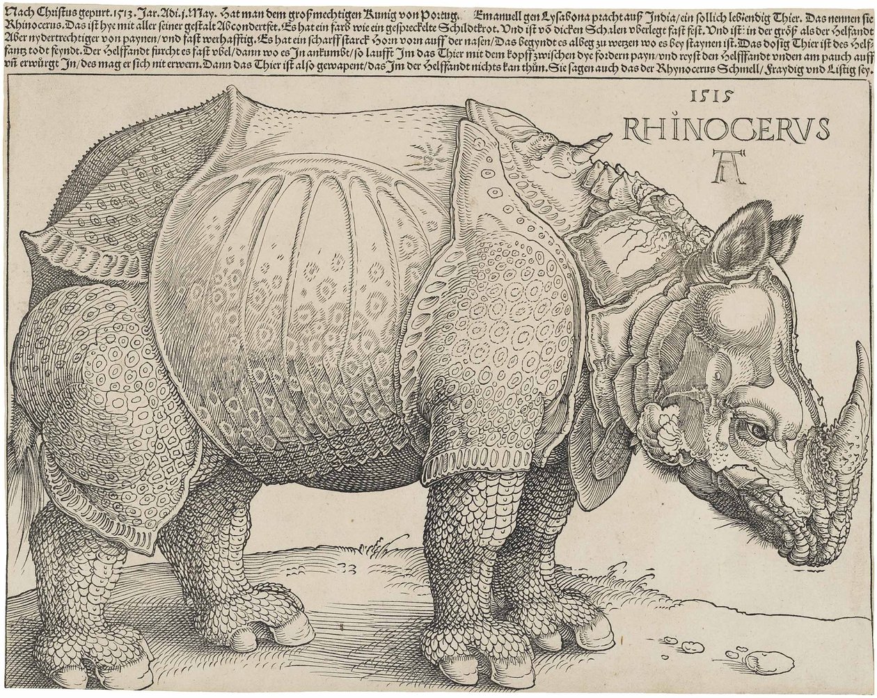 El rinoceronte, 1515 de Albrecht Dürer