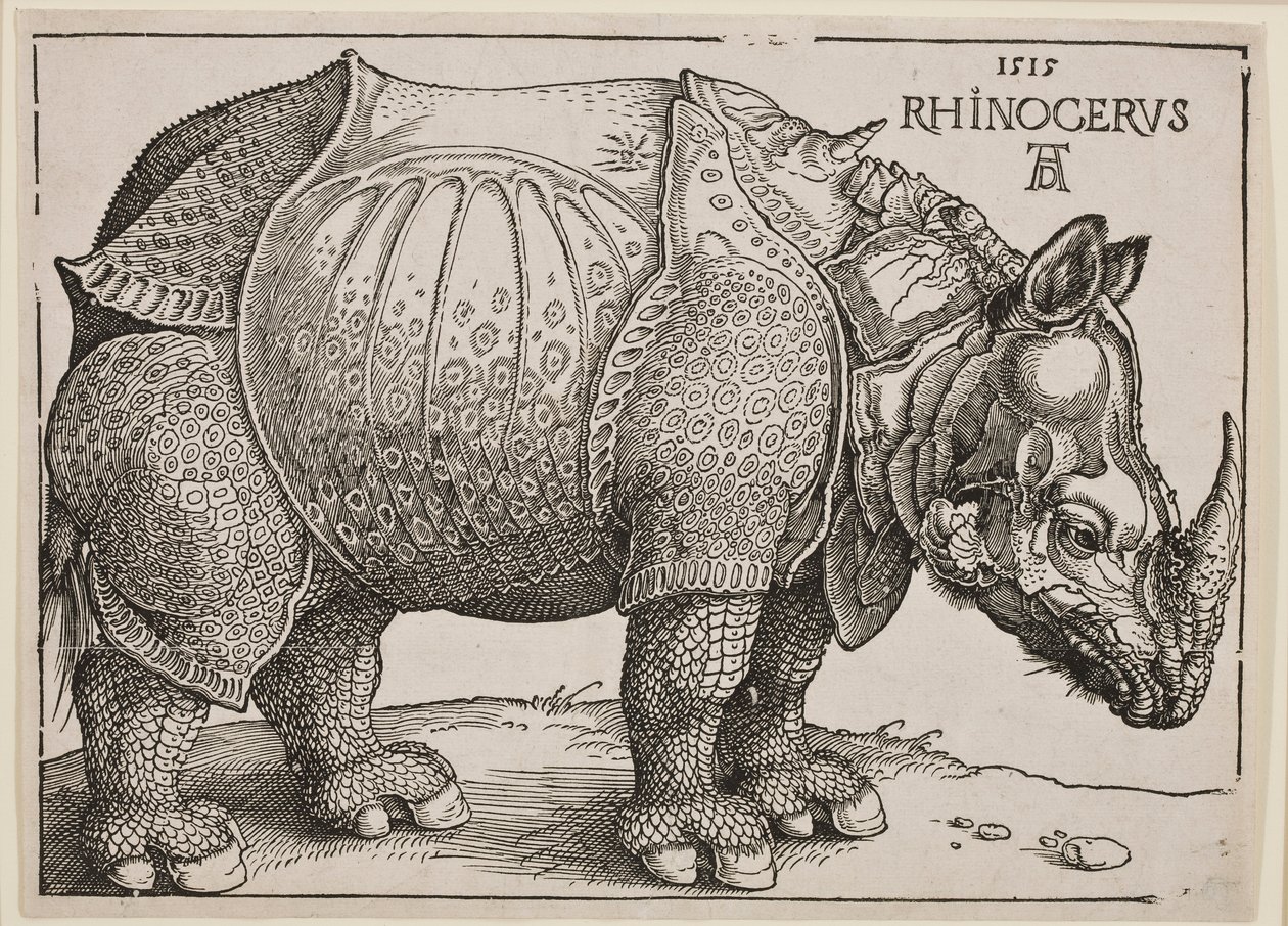 El Rinoceronte, 1515 de Albrecht Dürer