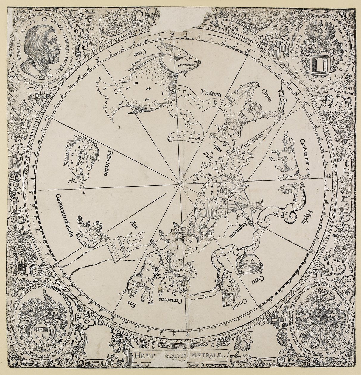 El mapa celestial del hemisferio sur de Albrecht Dürer