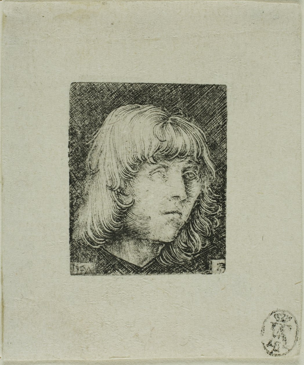 Cabeza de un joven de Albrecht Altdorfer