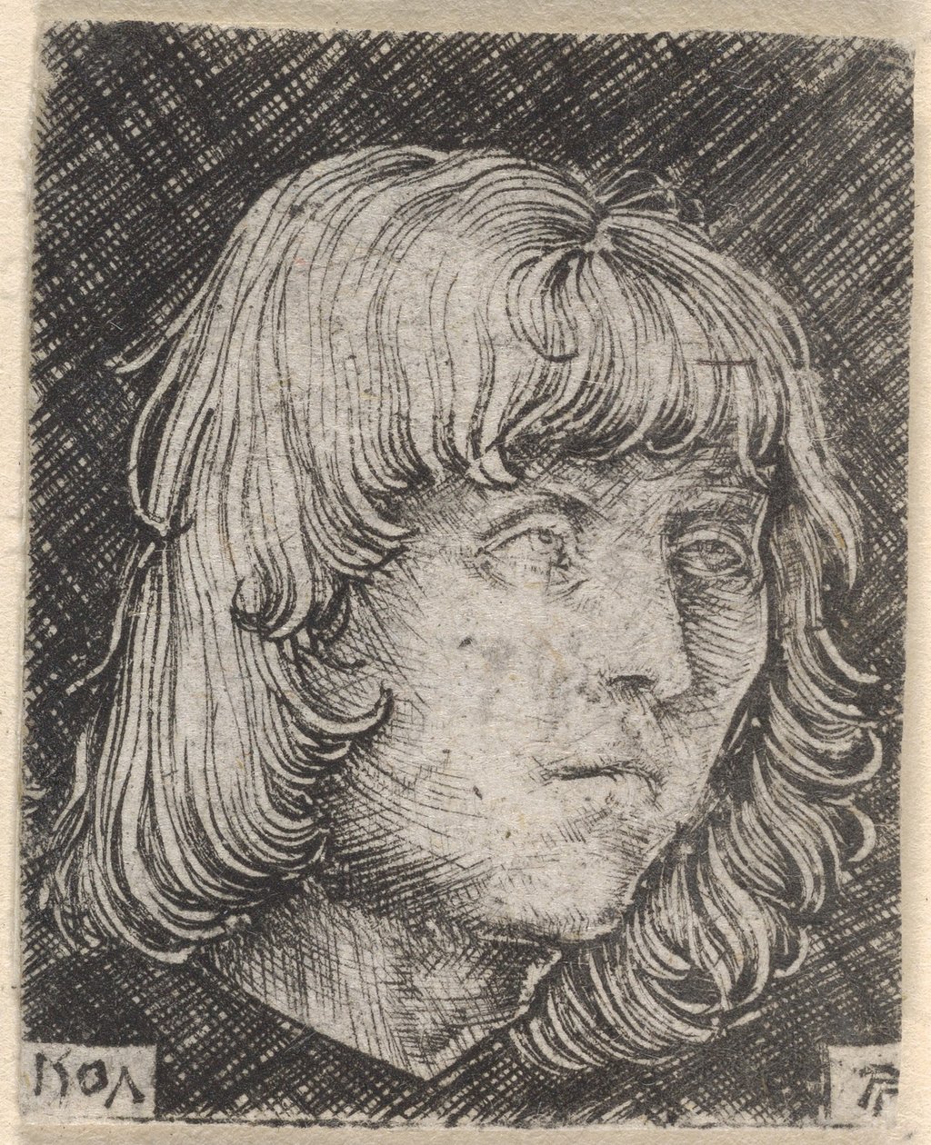 Cabeza de un joven de Albrecht Altdorfer