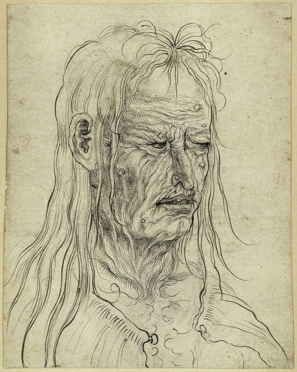 Cabeza de una anciana fea, mirando hacia la derecha de Albrecht Altdorfer