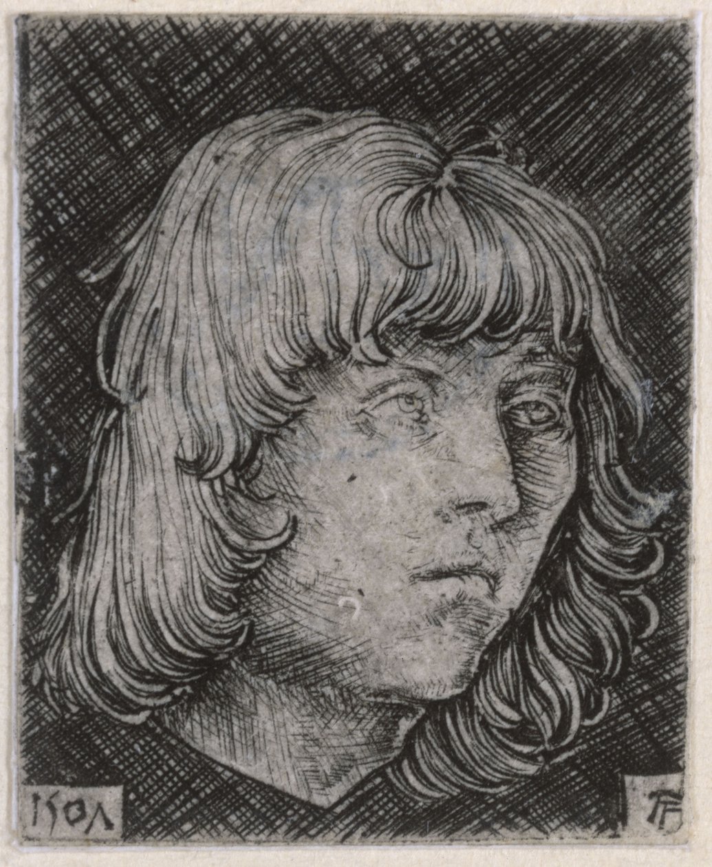 Cabeza de un joven de Albrecht Altdorfer