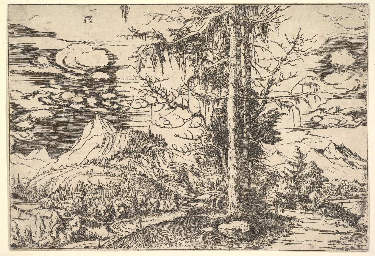 Paisaje con un Abeto Doble de Albrecht Altdorfer