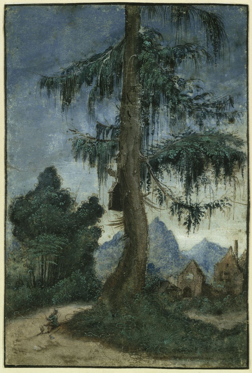 Paisaje con abetos de Albrecht Altdorfer