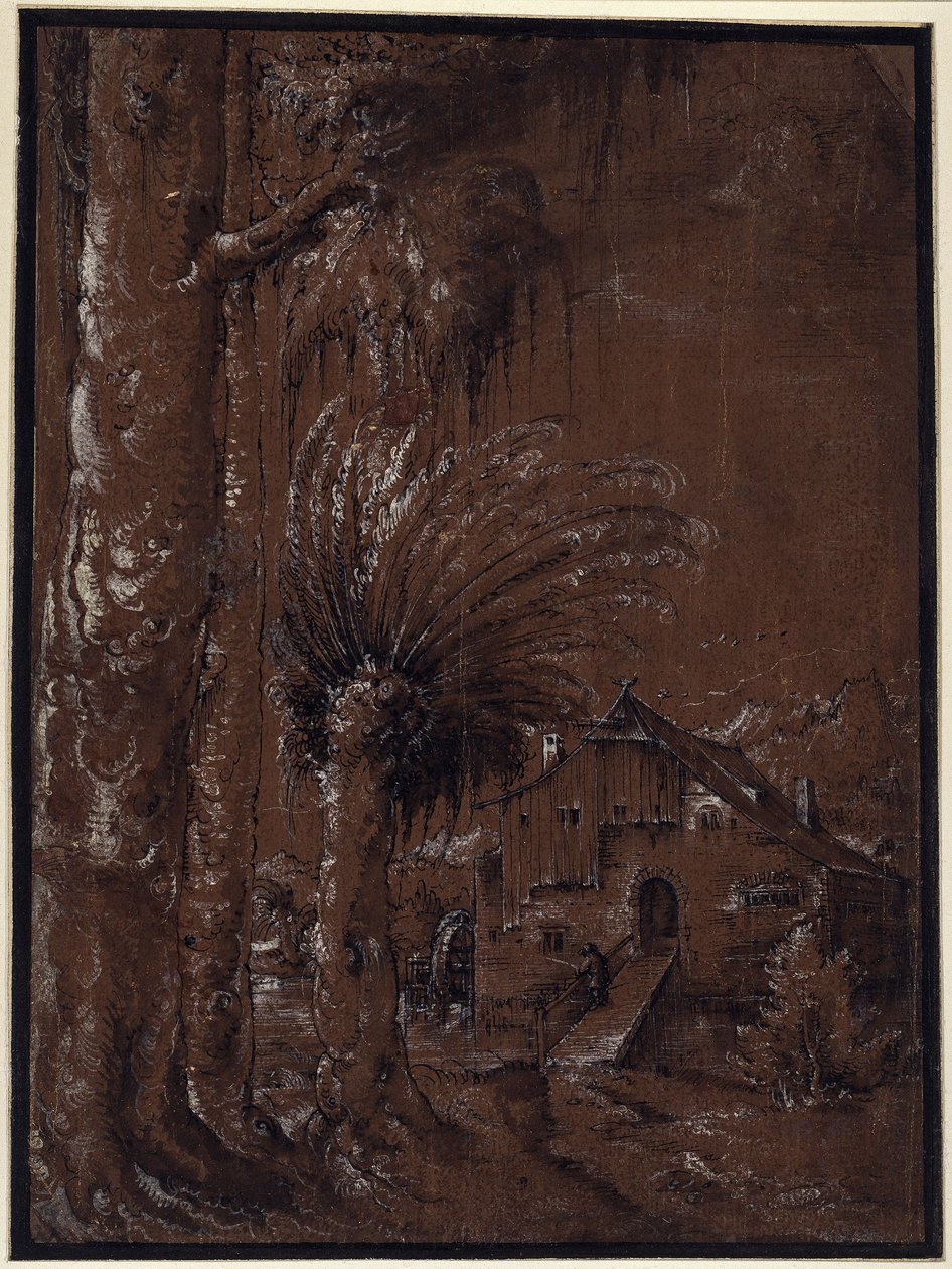 Paisaje con molino de agua de Albrecht Altdorfer