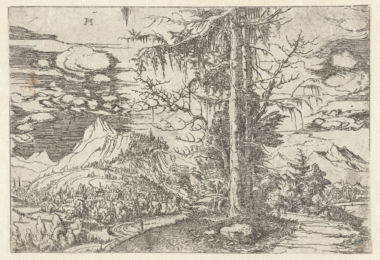 Paisaje con abeto doble de Albrecht Altdorfer