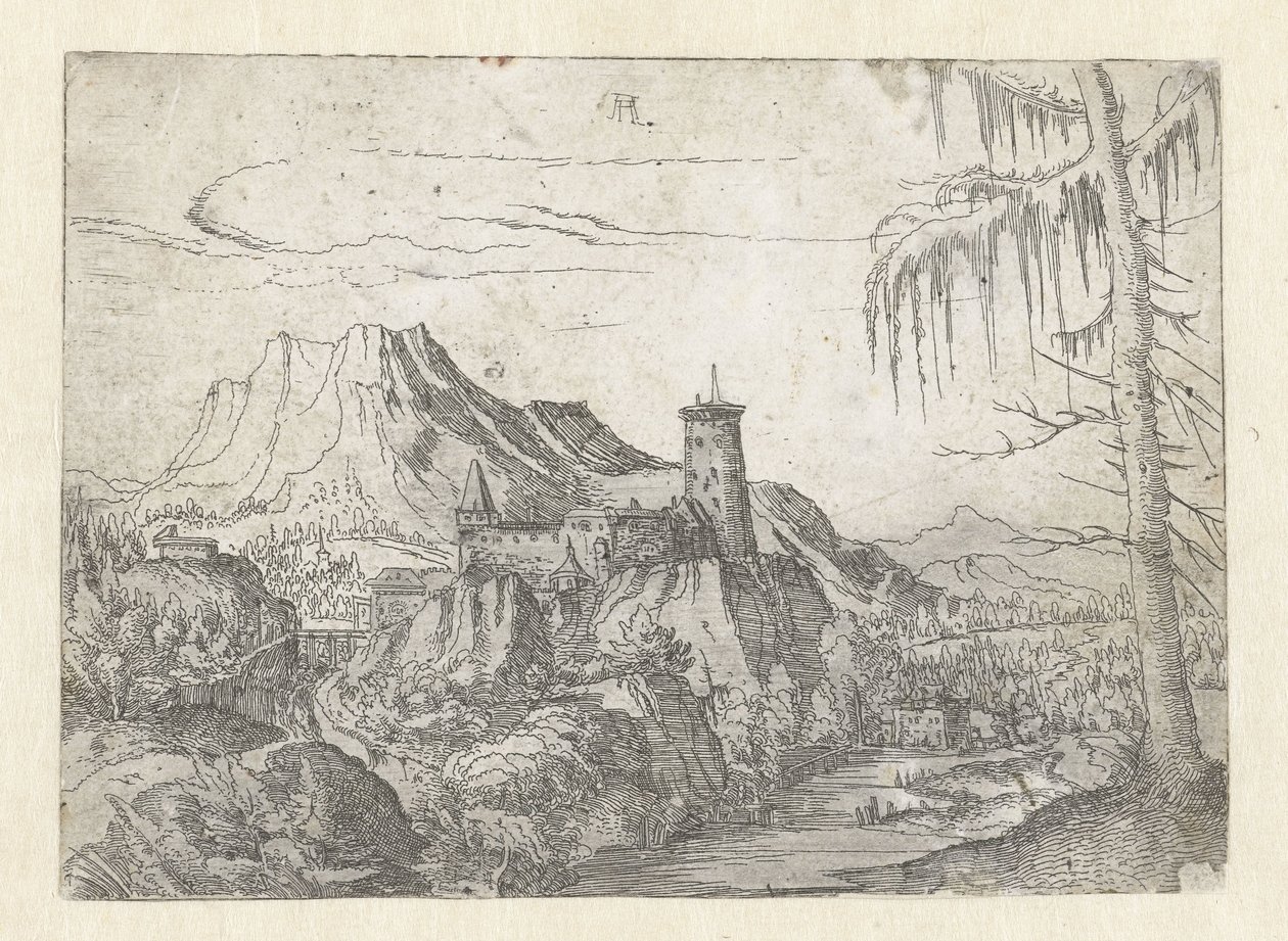 Paisaje con gran castillo de Albrecht Altdorfer