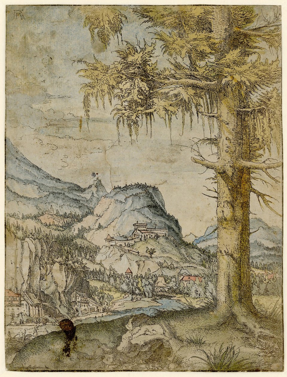 Gran abeto, ca. 1517-1520 de Albrecht Altdorfer
