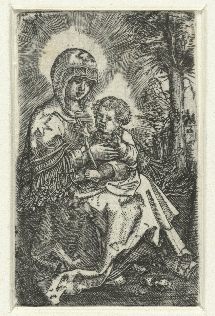 maria conoció amable en landschap Hermosa María de Ratisbona de Albrecht Altdorfer