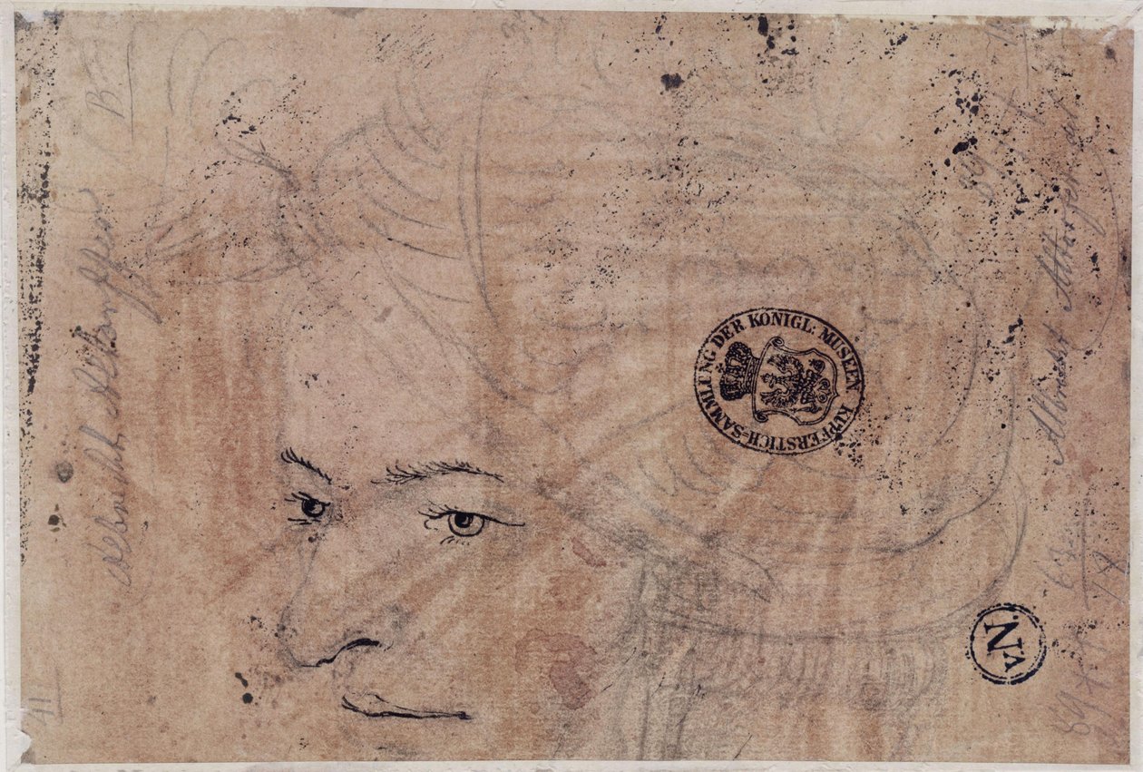 Boceto de un retrato de un joven con gorra de Albrecht Altdorfer