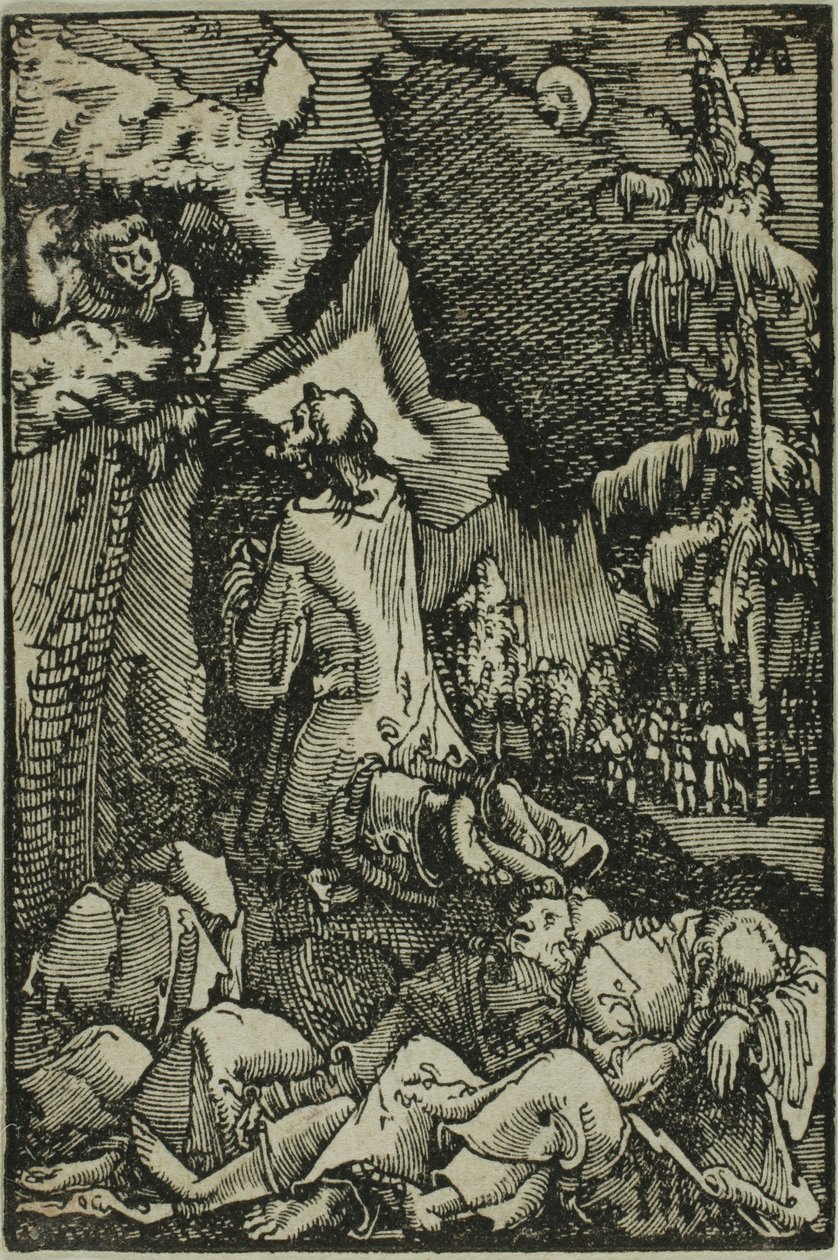 La agonía en el jardín, de La Caída y Redención del Hombre de Albrecht Altdorfer