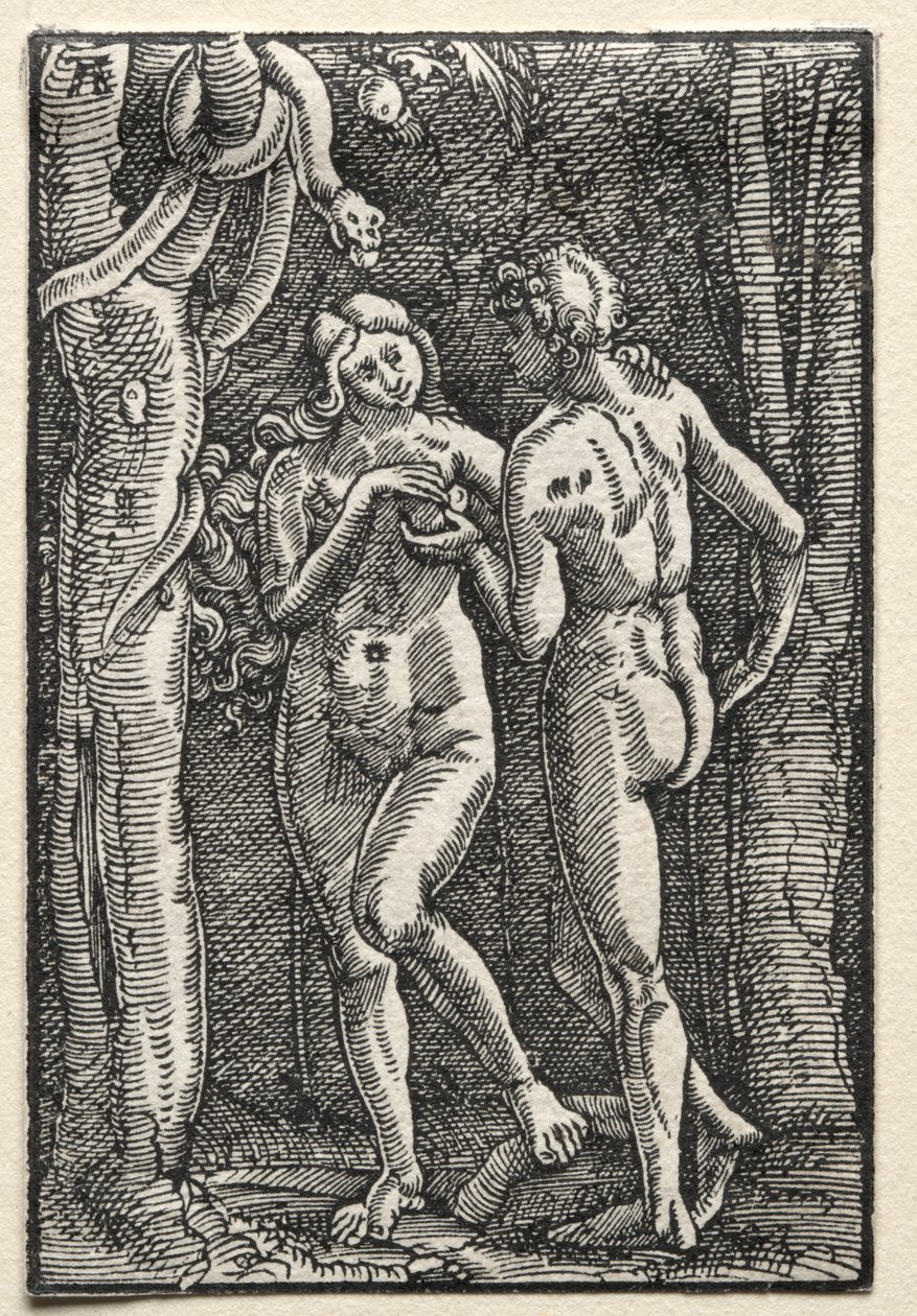 La caída y redención del hombre: Adán y Eva comiendo el fruto prohibido de Albrecht Altdorfer